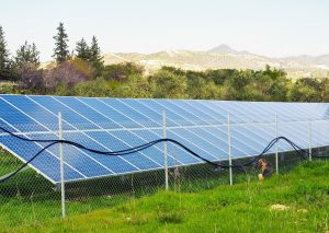 Solar panels placed on a countryside meadow